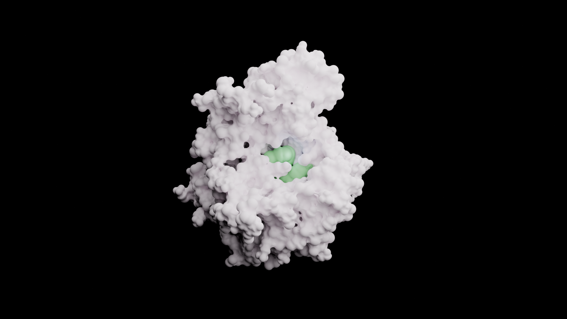 PARP Protein Structure with bound ligand